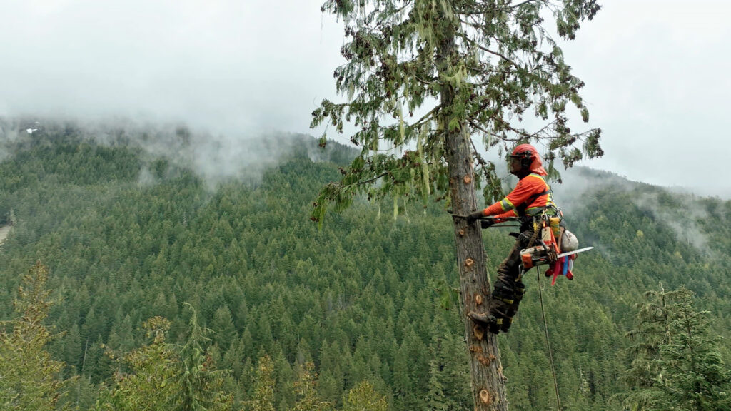 Timber Titans — S1E5 — Running Out of Time