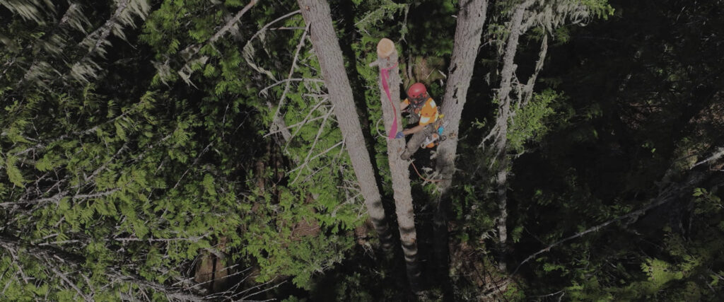 Timber Titans — S1E8 — Pulling the Last Turn