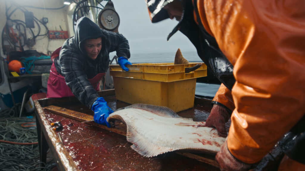 East Harbour Heroes — S1E2 — Heavy Lifting