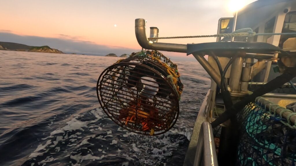 Aussie Lobster Hunters — S1E3 — The Storm