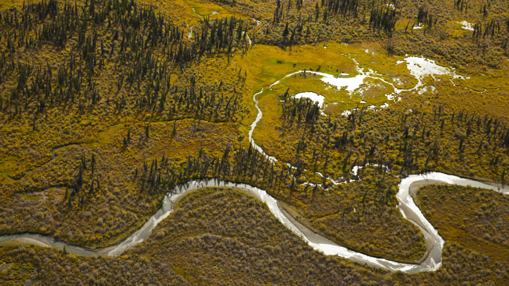 Yukon Gold — S1E5 — Hard Days Night