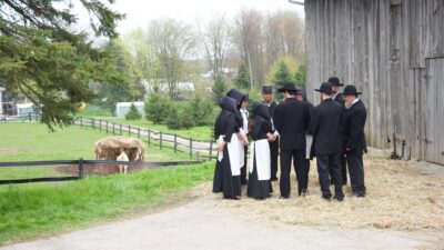 Morderstwa w krainie Amiszów
